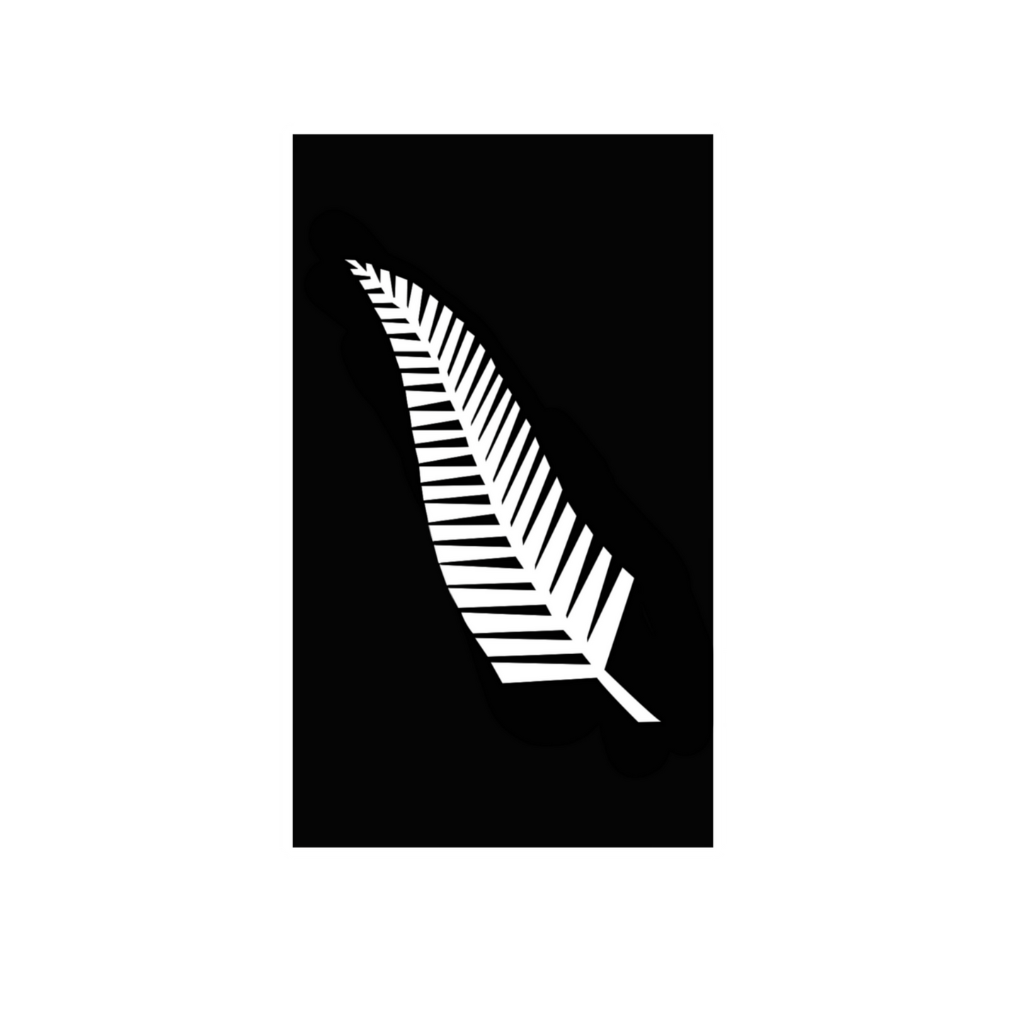 Silver Fern Flag